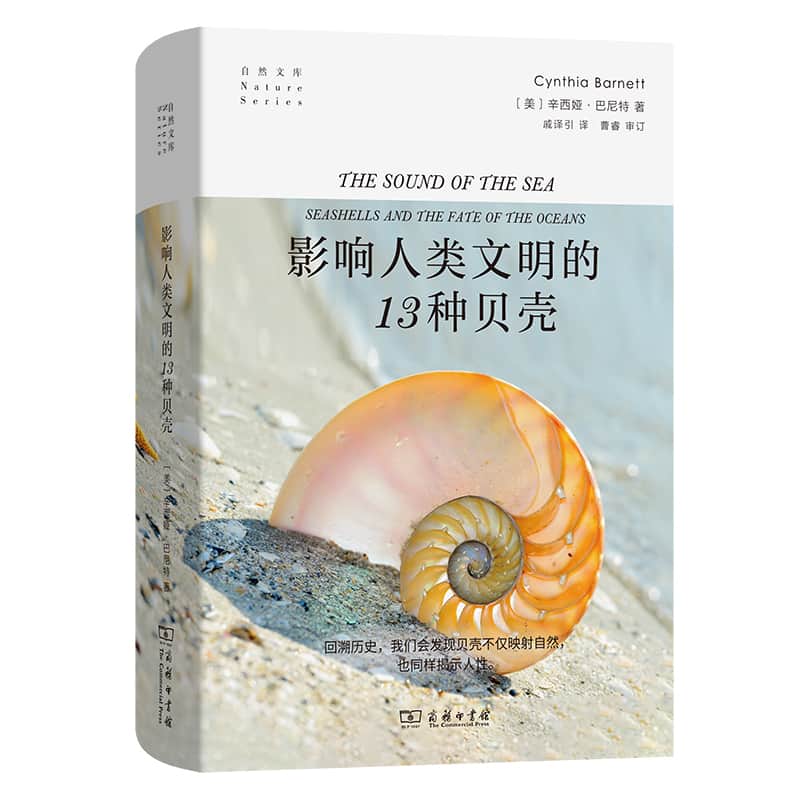 影响人类文明的13种贝壳
