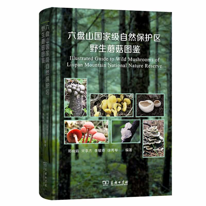六盘山国家级自然保护区野生蘑菇图鉴