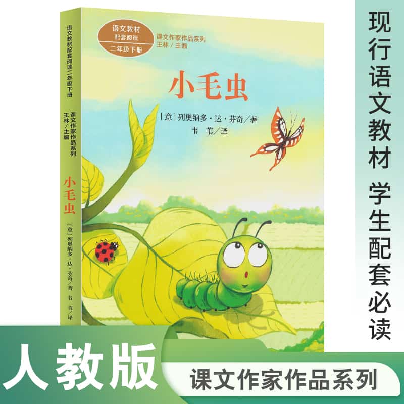 小毛虫