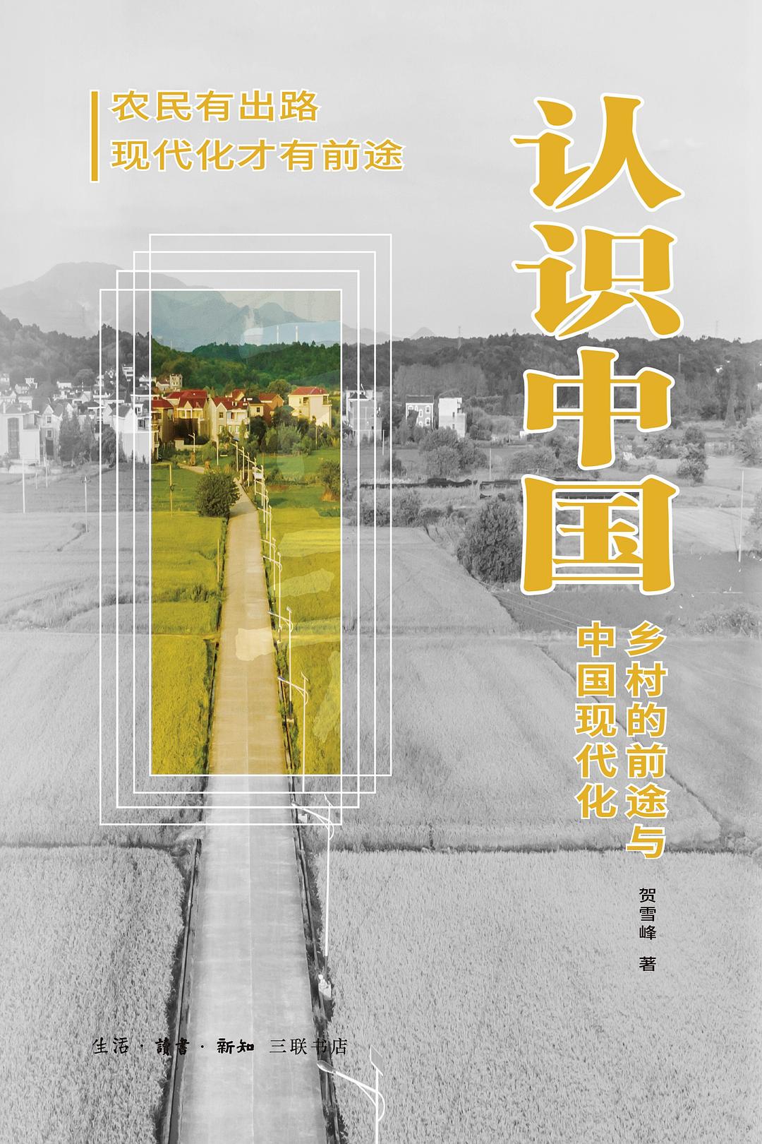认识中国:乡村的前途与中国现代化