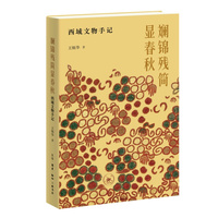 斓锦残简显春秋—西域文物手记