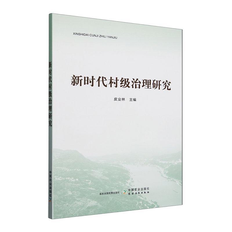 新时代村级治理研究