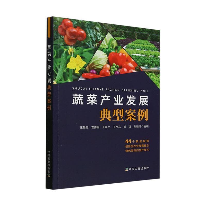 蔬菜产业发展典型案例