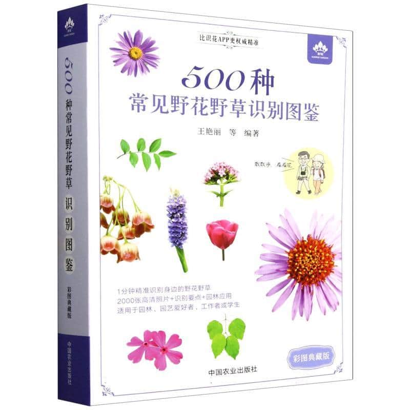 500种常见野花野草识别图鉴—彩图典藏版