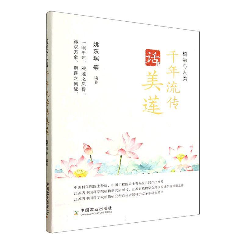 千年流传话美莲