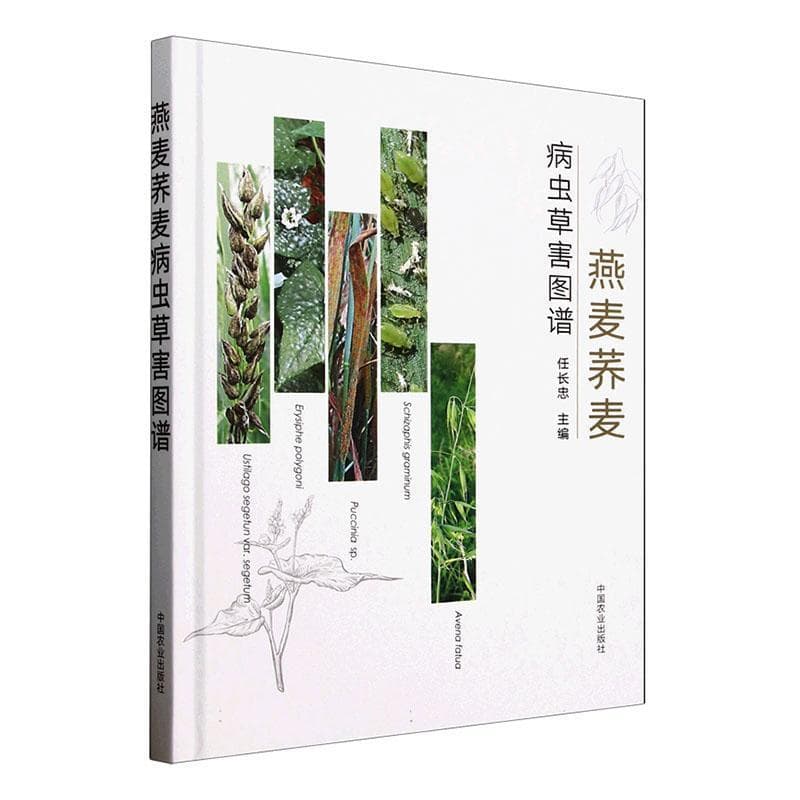 燕麦荞麦病虫草害图谱
