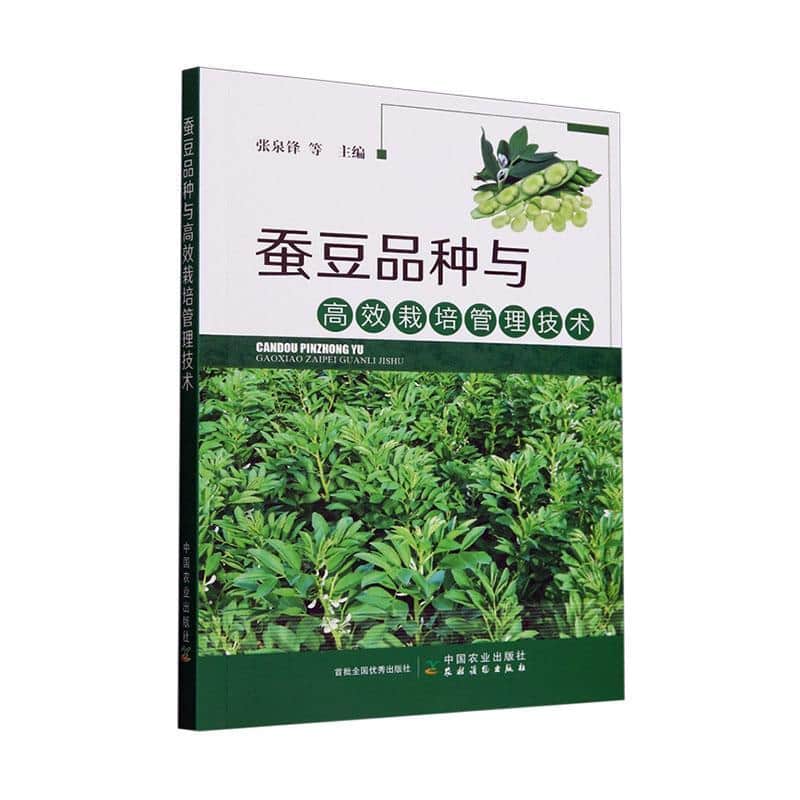 蚕豆品种与高效栽培管理技术