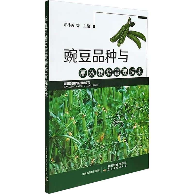 豌豆品种与高效栽培管理技术