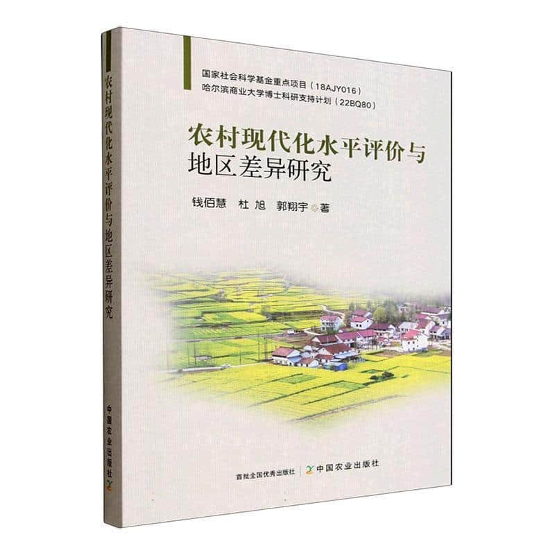 农村现代化水平评价与地区差异研究