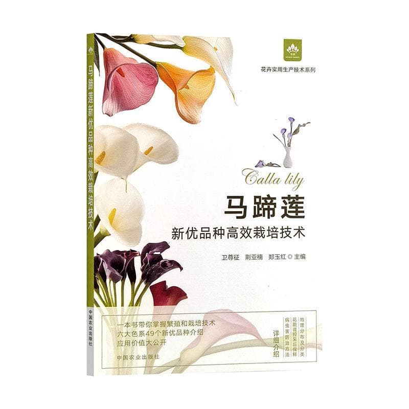 马蹄莲新优品种高效栽培技术