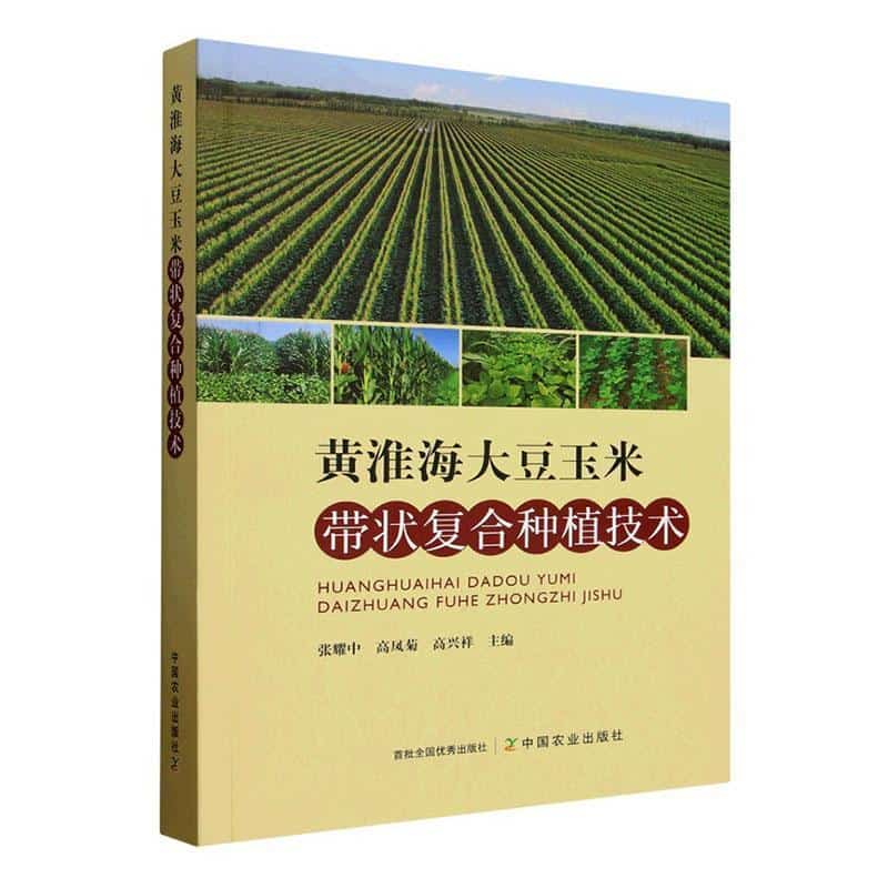 黄淮海大豆玉米带状复合种植技术