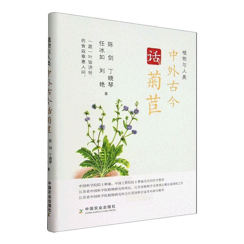 中外古今话菊苣