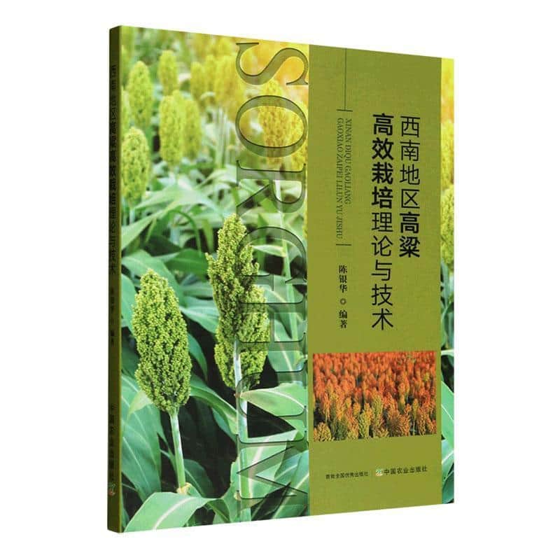 西南地区高粱高效栽培理论与技术