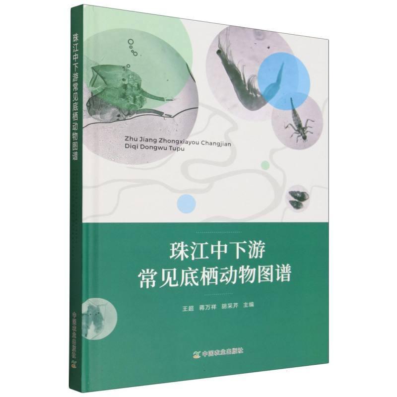 珠江中下游常见底栖动物图谱