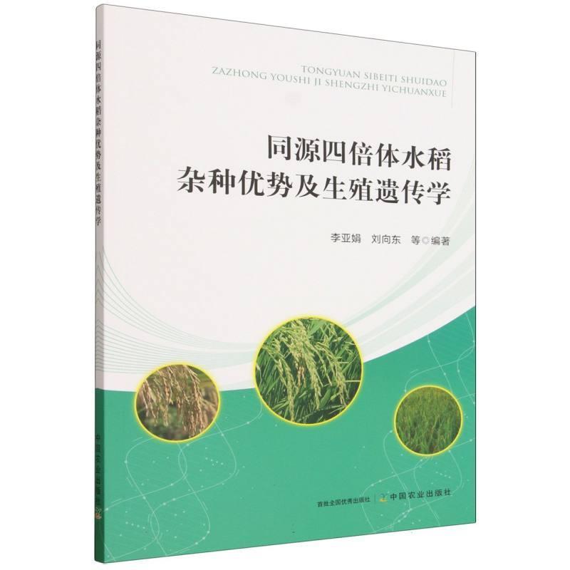 同源四倍体水稻杂种优势及生殖遗传学