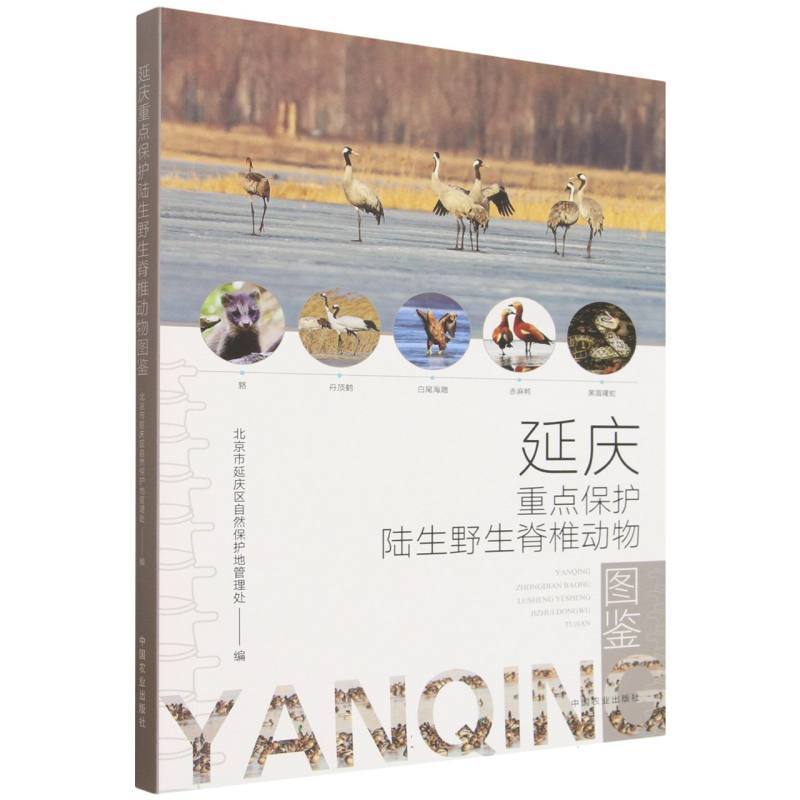 延庆重点保护陆生野生脊椎动物图鉴