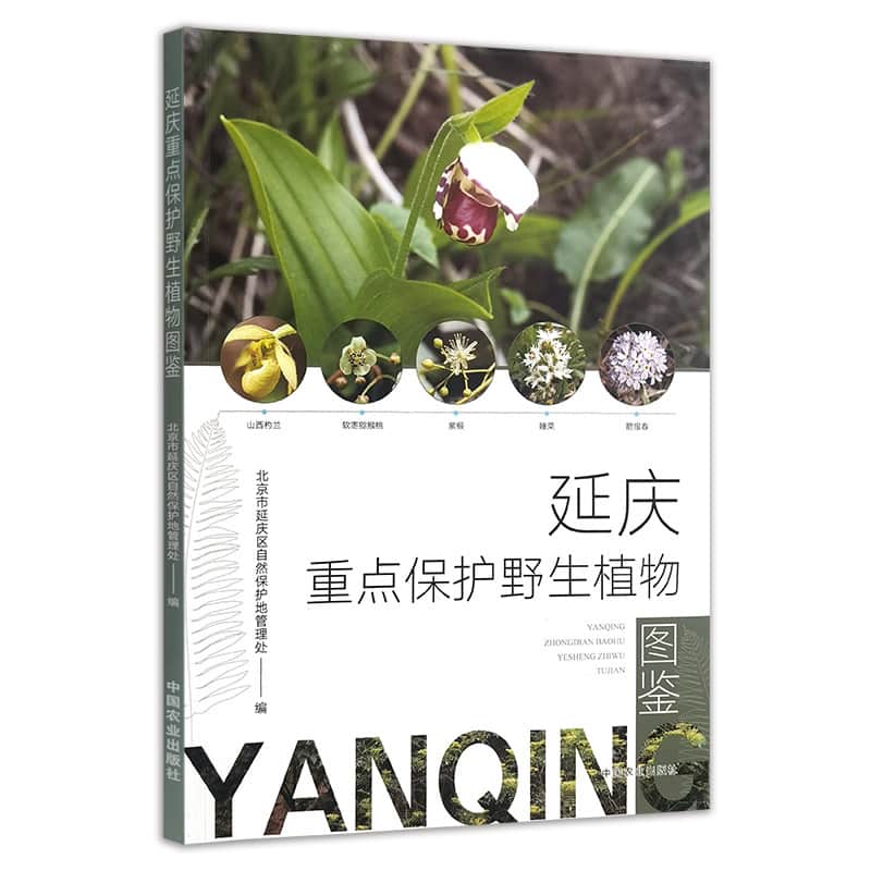 延庆重点保护野生植物图鉴