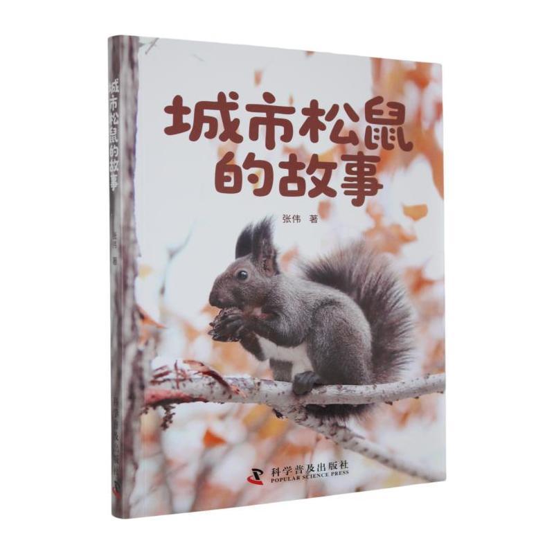 城市松鼠的故事