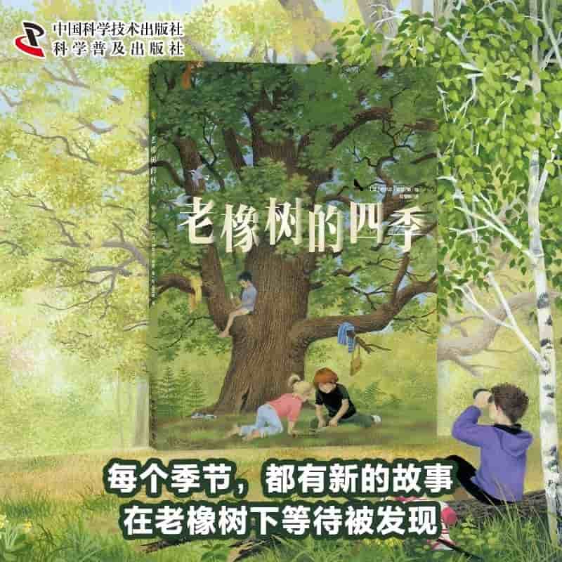 老橡树的四季