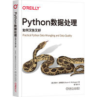 Python数据处理—如何又快又好