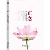 正念父母心：养育孩子，养育自己