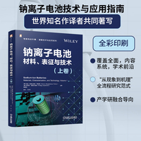 钠离子电池—材料、表征与技术(上卷)