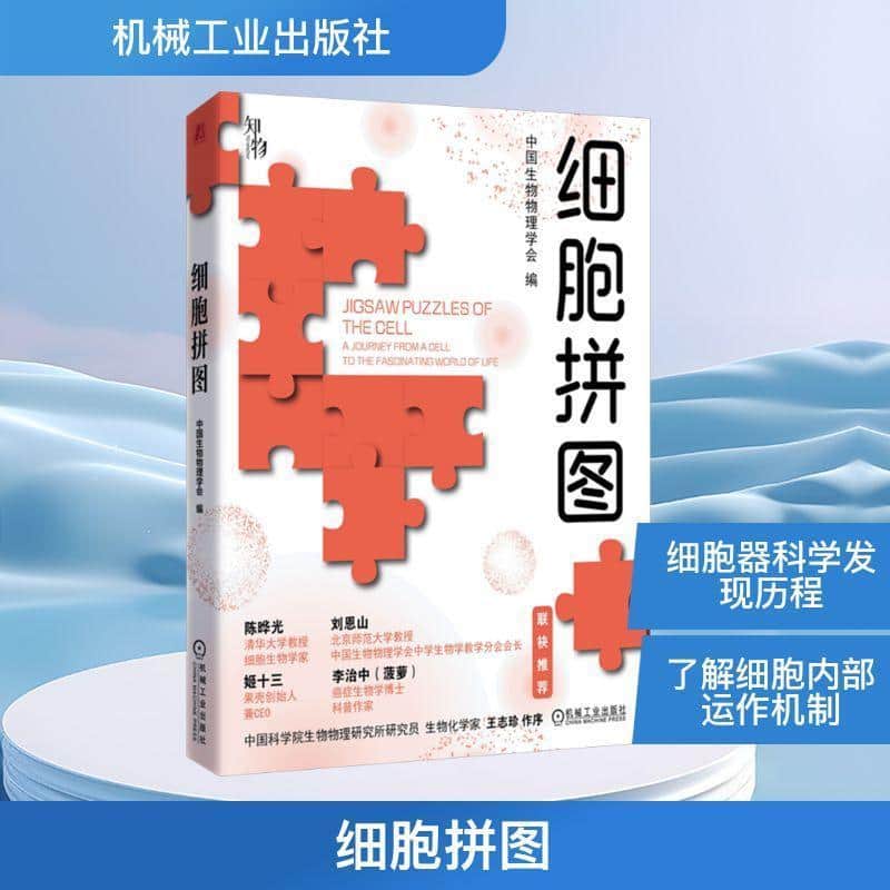 细胞拼图