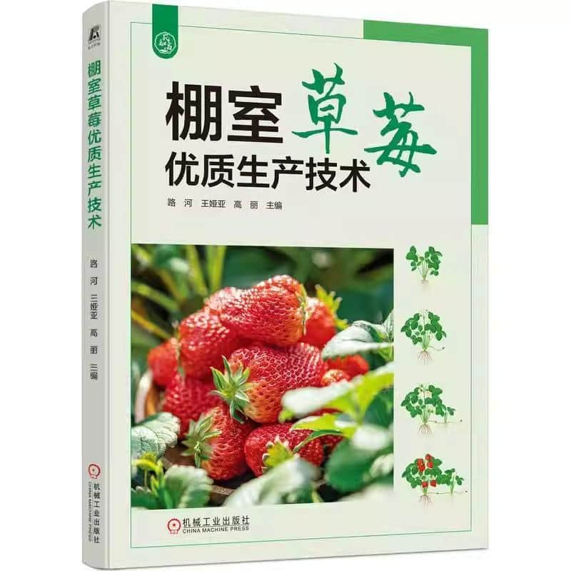 棚室草莓优质生产技术