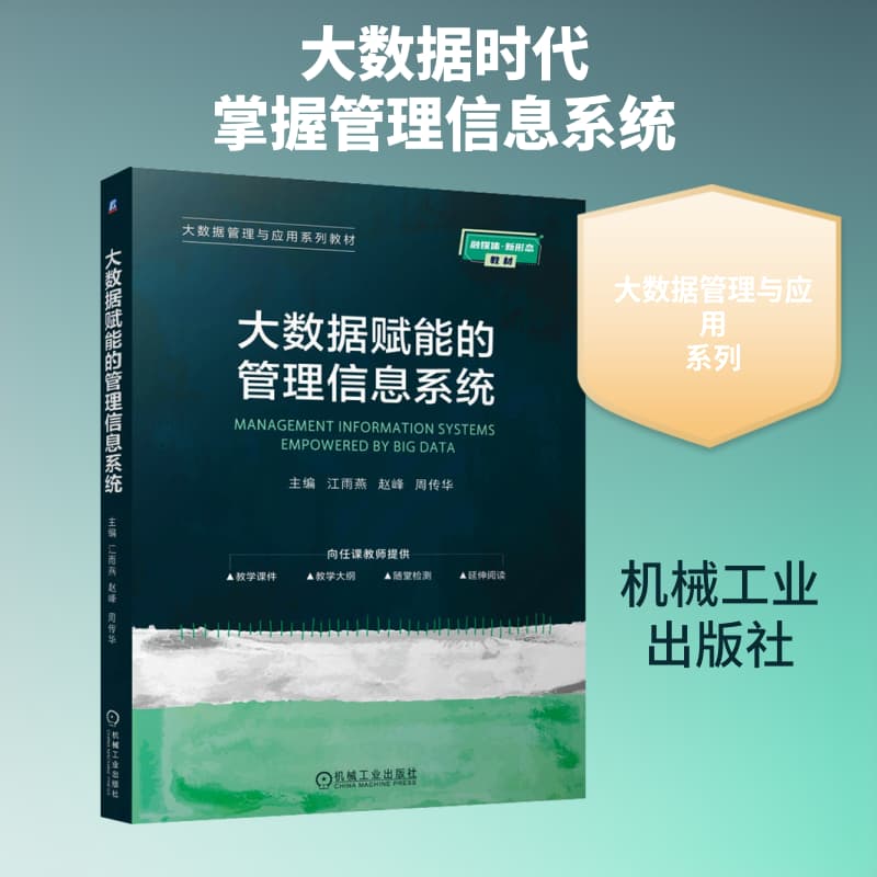 大数据赋能的管理信息系统