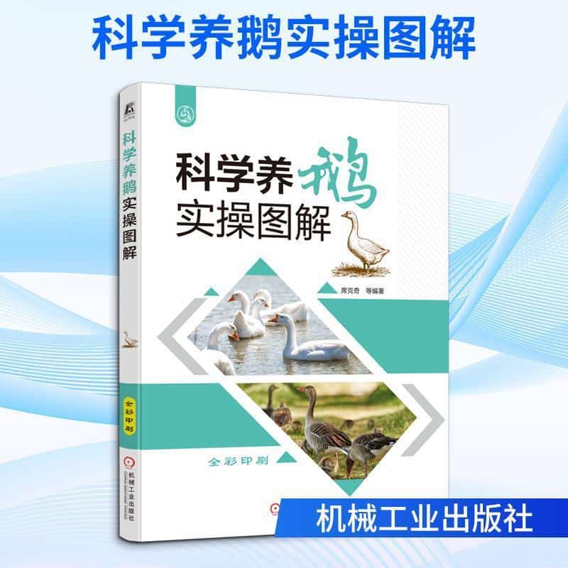 科学养鹅实操图解