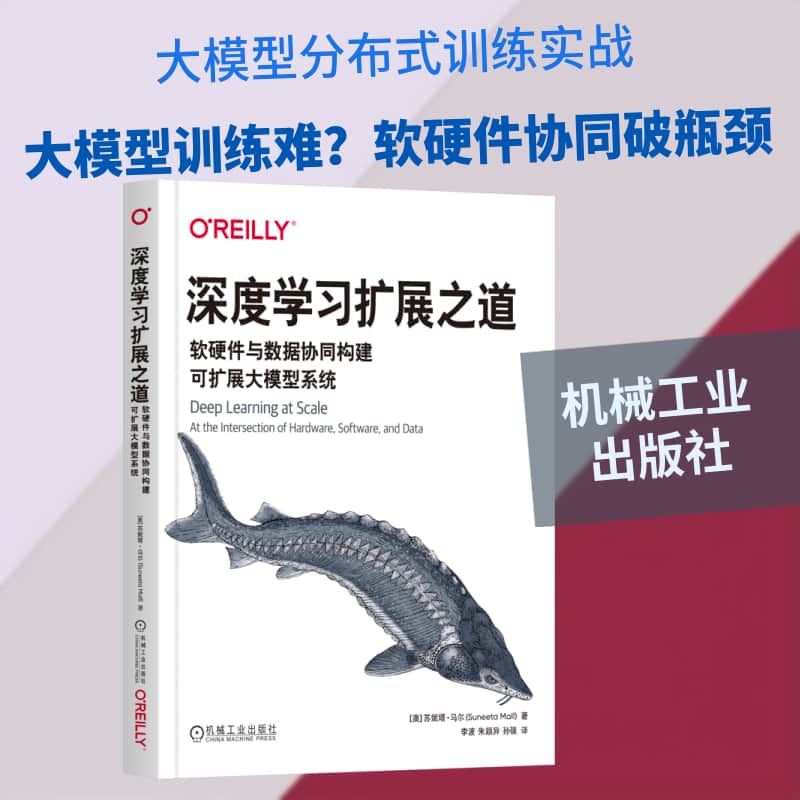 深度学习扩展之道—软硬件与数据协同构建可扩展大模型系统—at the intersection of hardware, software, and data