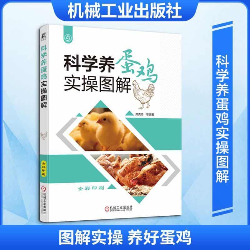 科学养蛋鸡实操图解
