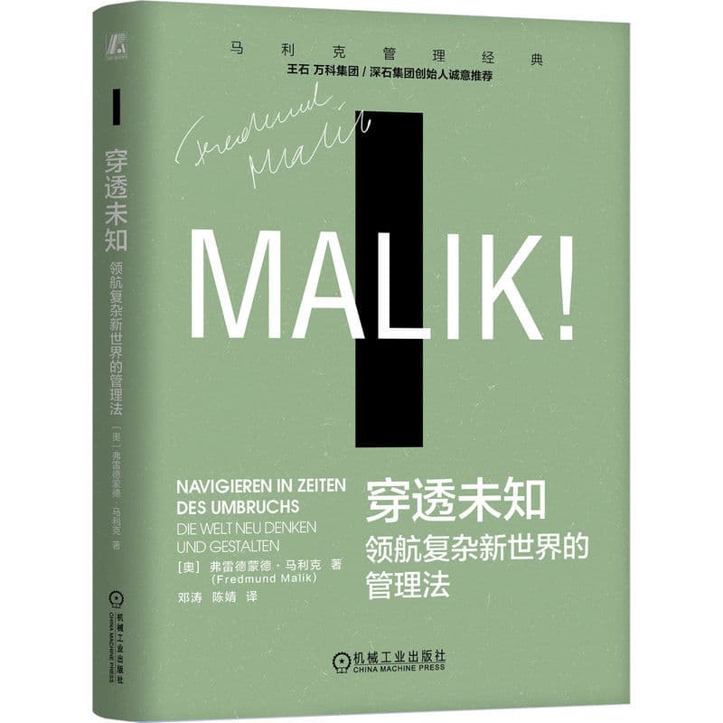 穿透未知—领航复杂新世界的管理法—Die Welt Neu Denkenund Gestalten