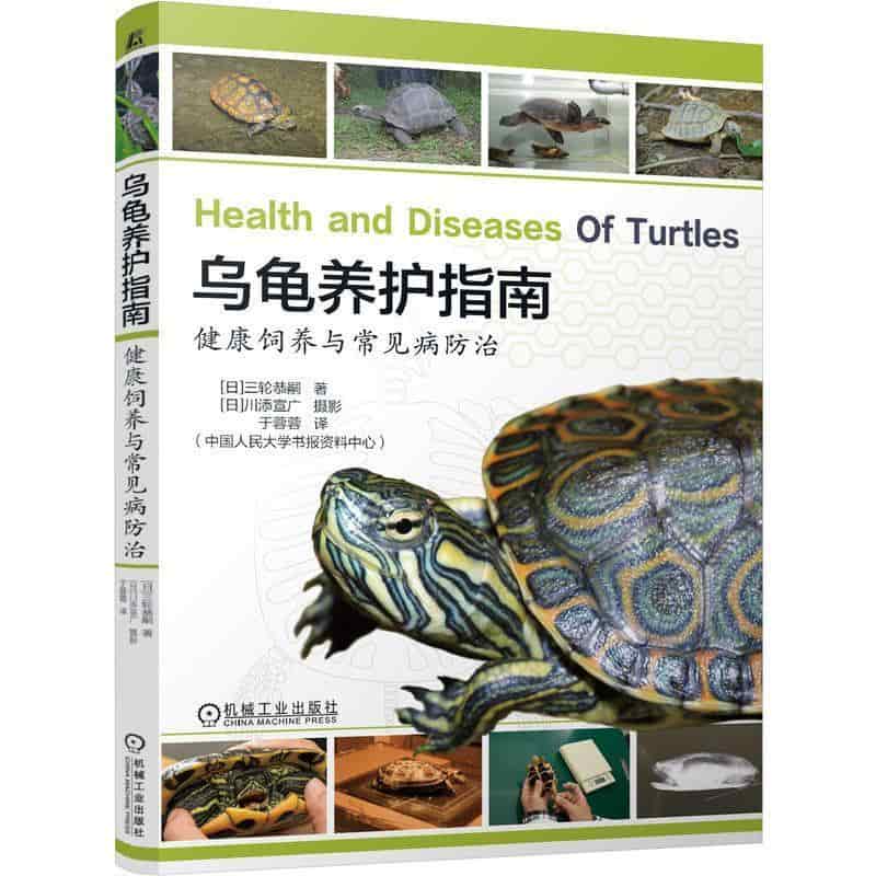 乌龟养护指南—健康饲养与常见病防治