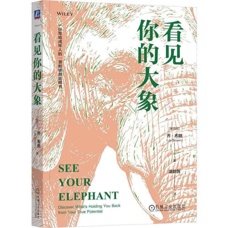 看见你的大象—discover what's holding you back from your true potential