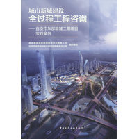 城市新城建设全过程工程咨询—自贡市东部新城二期项目实践案例