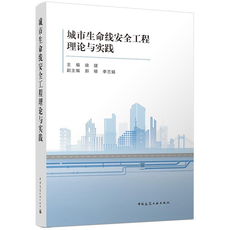 城市生命线安全工程理论与实践