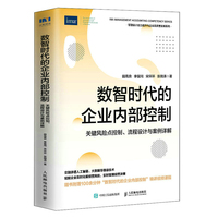 数智时代的企业内部控制—关键风险点控制、流程设计与案例详解