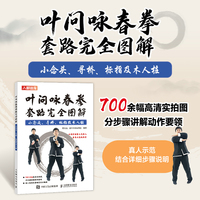 叶问咏春拳套路完全图解—小念头、寻桥、标指及木人桩