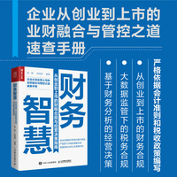 财务智慧—从创业到上市的财税合规与经营决策指南