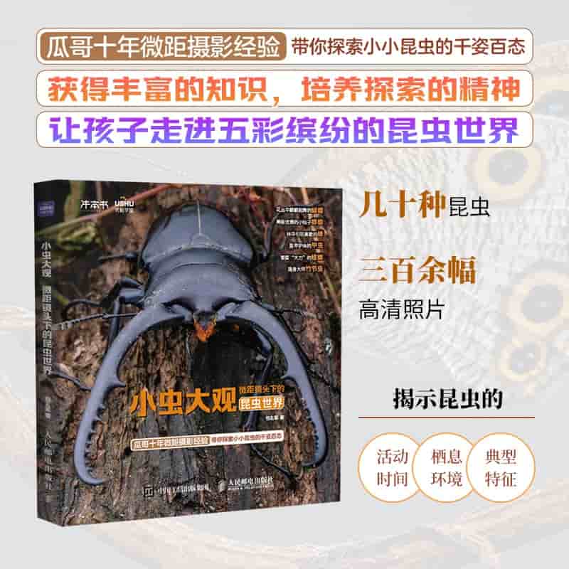 小虫大观—微距镜头下的昆虫世界