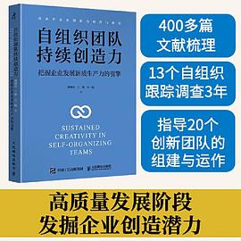 自组织团队持续创造力—把握企业发展新质生产力的引擎:
