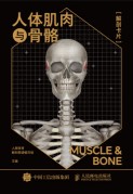 人体肌肉与骨骼解剖卡片
