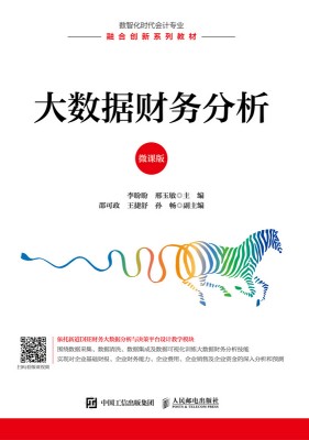 大数据财务分析—微课版