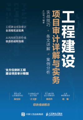 工程建设项目审计详解与实务—实战技巧+条文详解+案例分析: