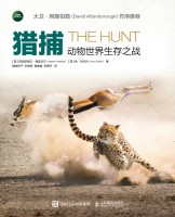 猎捕—动物世界生存之战