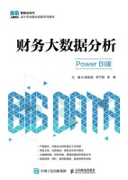 财务大数据分析—Power BI版