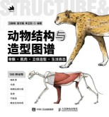 动物结构与造型图谱—骨骼×肌肉×立体造型×生活百态