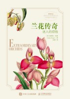 兰花传奇—迷人的烦恼