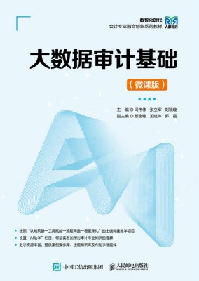 大数据审计基础—微课版